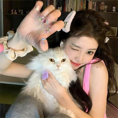 加菲猫:农场大冒险